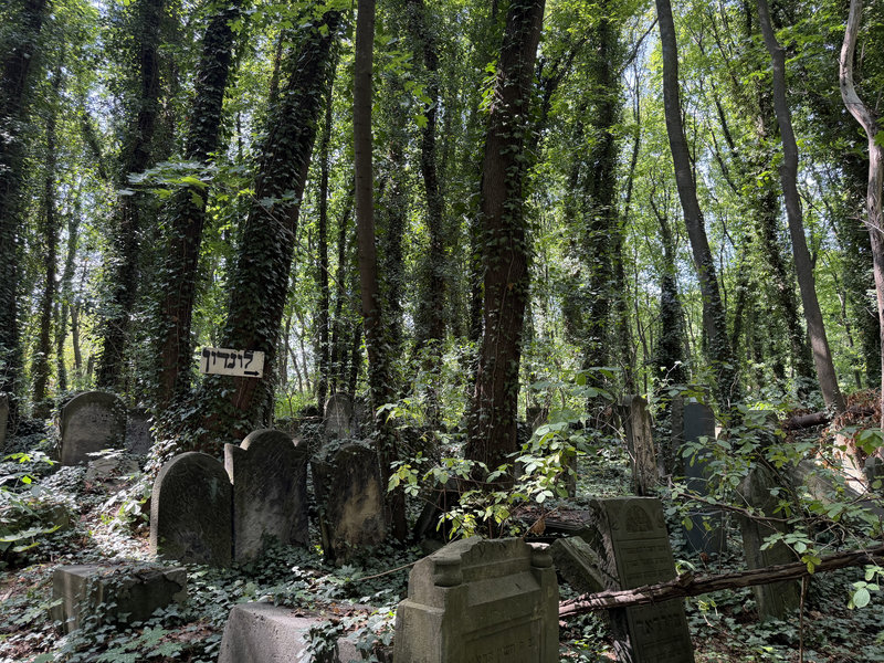 Cmentarz Żydowski